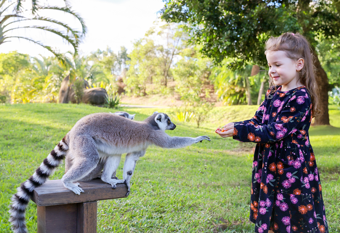 Visionary Wildlife Warriors Thumbnail with Grace and a Lemur