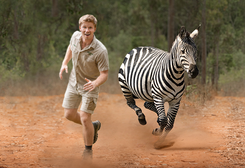 Robert running with a zebra